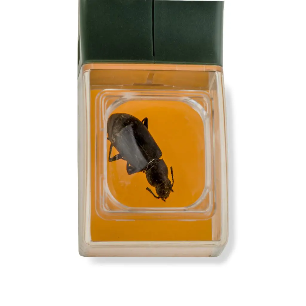 Carson Kids BugView 5x Magnifier and Quick-Release Bug Catching Tool HU-10 - Image 4
